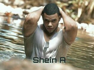 Shein_A