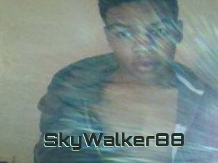 SkyWalker88