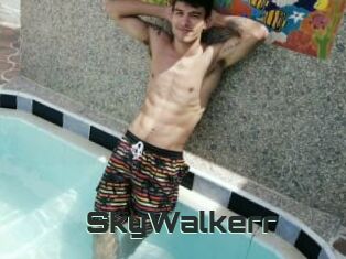 SkyWalkerr