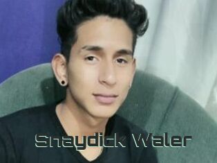 Snaydick_Waler