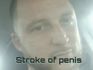 Stroke_of_penis