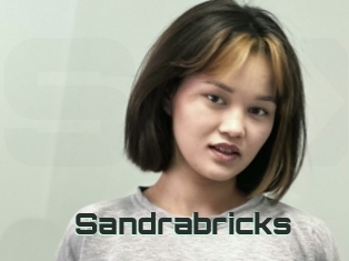 Sandrabricks
