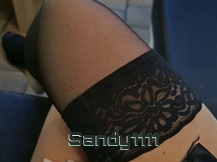 Sandy1111