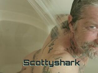 Scottyshark
