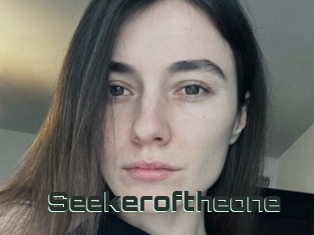 Seekeroftheone