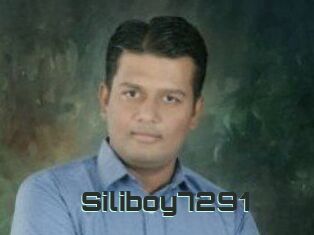 Siliboy7291