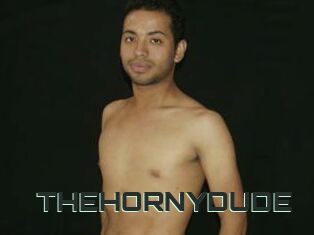 THEHORNYDUDE