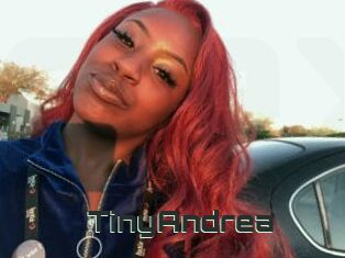 TinyAndrea