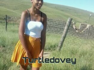 Turtledovey