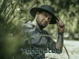 Teddysteel