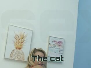 The_cat