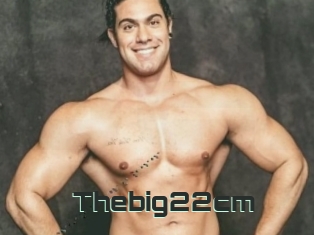 Thebig22cm