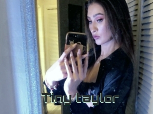 Tiny_taylor
