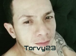 Torvy23