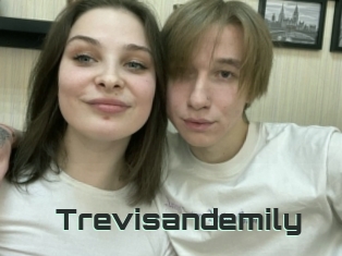 Trevisandemily