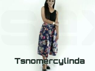 Tsnomercylinda
