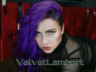 VelvetLambert