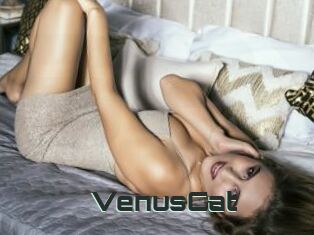 VenusCat