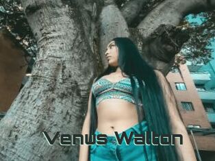 Venus_Walton