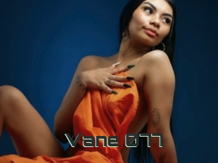 Vane_077