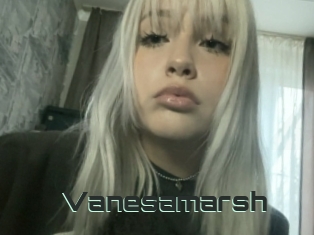 Vanesamarsh