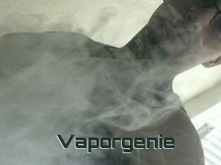 Vapor_genie