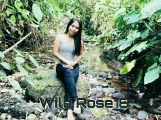 Wild_Rose18
