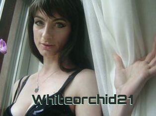 Whiteorchid21