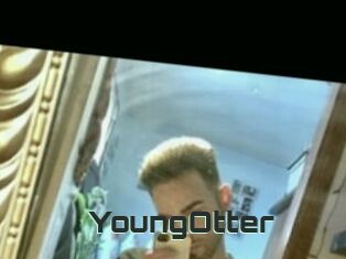 YoungOtter