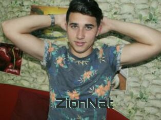 ZionNat